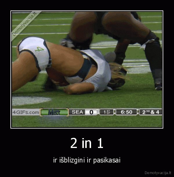 2 in 1