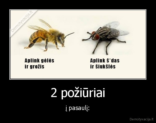 bite,muse,poziuris