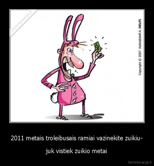 autobusai,zuikis