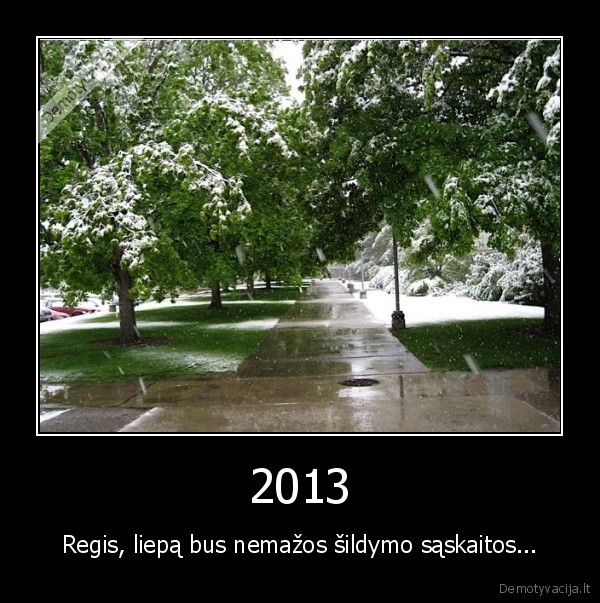 2013,ziema,salta