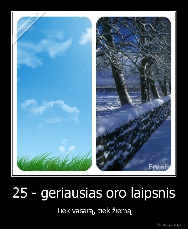 vasara,ziema,nereikia, i, mokykla,silta