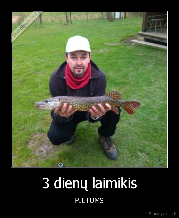 3 dienų laimikis