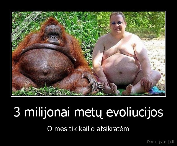 bezdziones,evoliucija