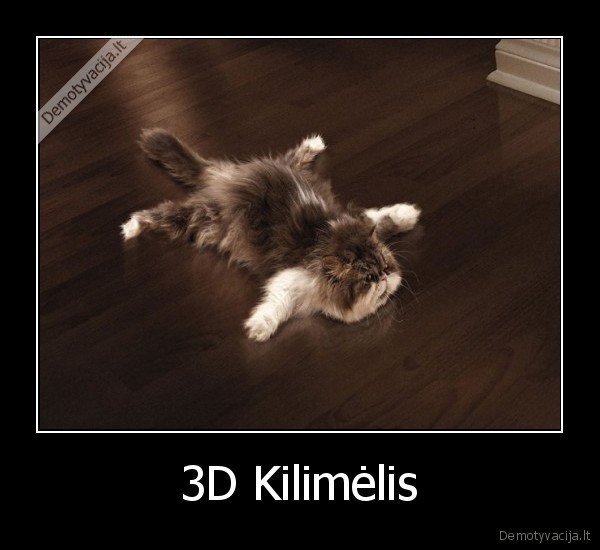 3D Kilimėlis