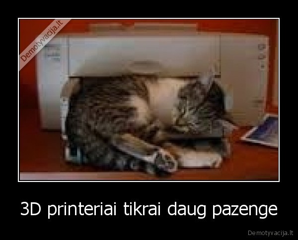 kate,printery