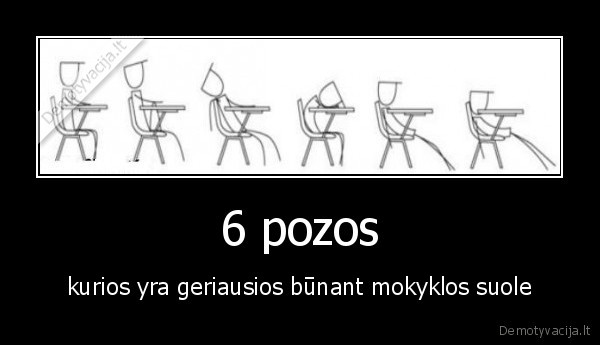 6 pozos