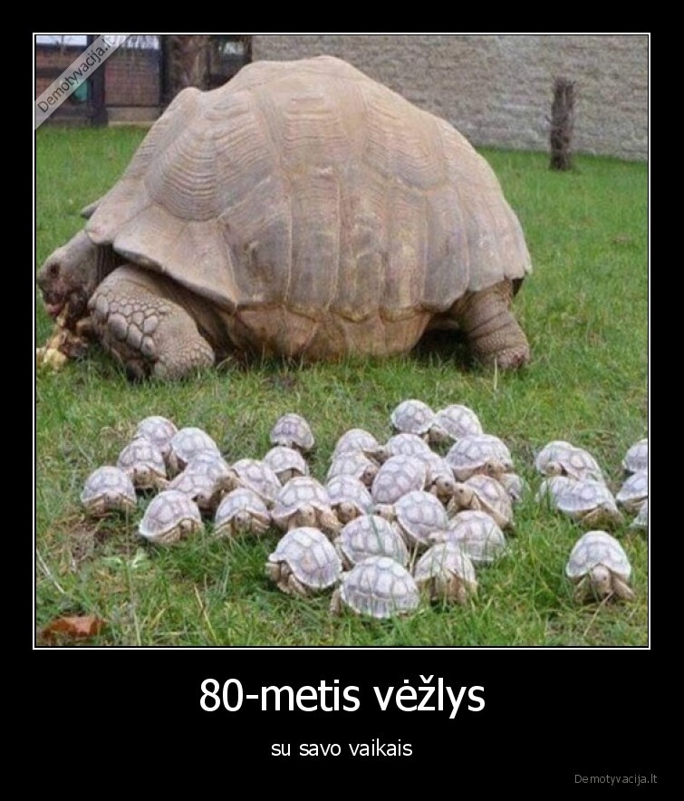 vezlys,vaikai