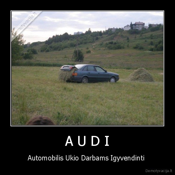 geriau,briedis,miske,nei,audi,garaze