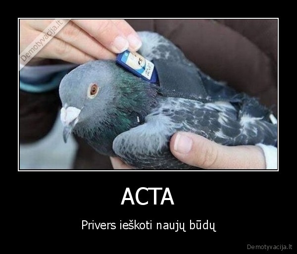 acta,piratavimas,kopijavimas,dalinimasis