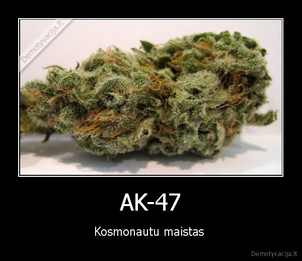 rukyk,ir,busi,sveikas