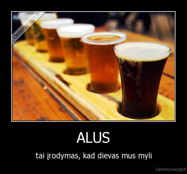 alus,meile