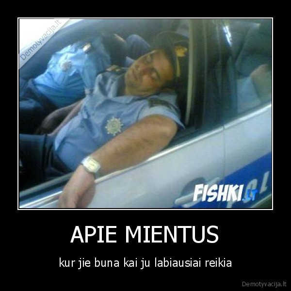 APIE MIENTUS