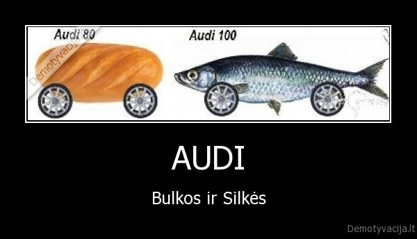 audi, 100, audi, 80, bulka, silke, vokiska, kokybe