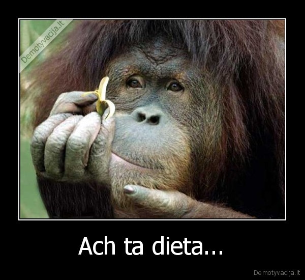 Ach ta dieta...