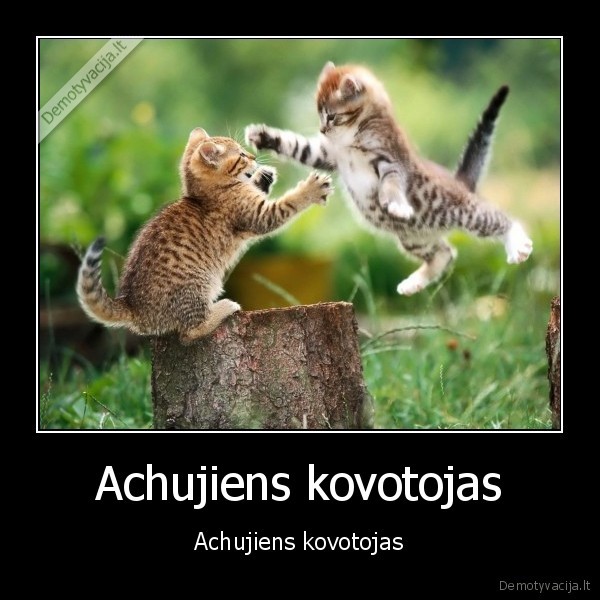 Achujiens kovotojas