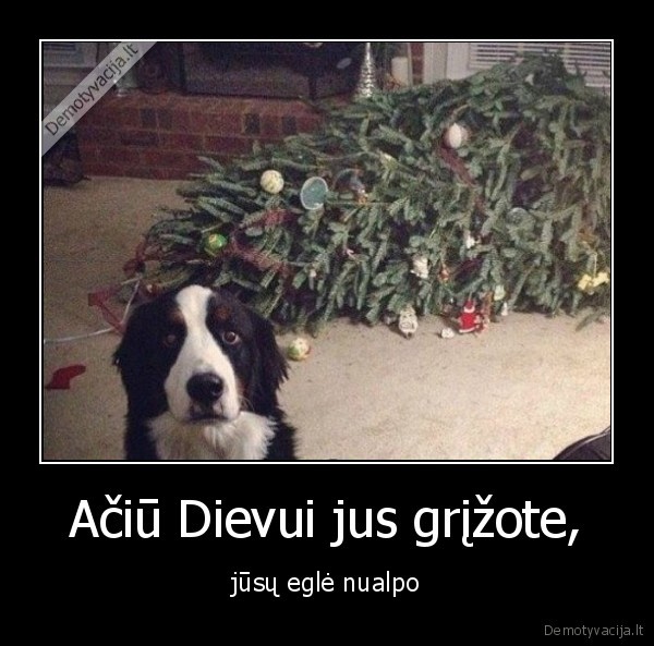 egle,nualpo