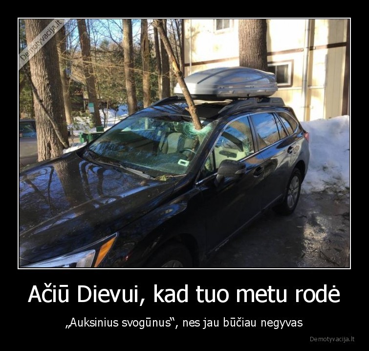 auksiniai, svogunai,isgelbejo,gyvybe