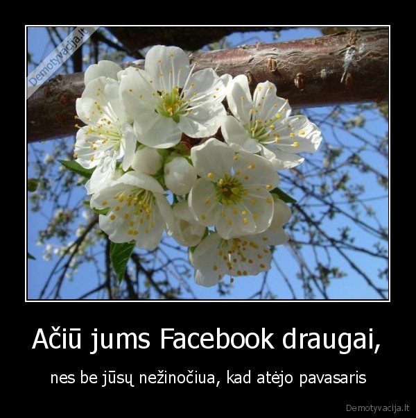 facebook, pavasaris, atejo