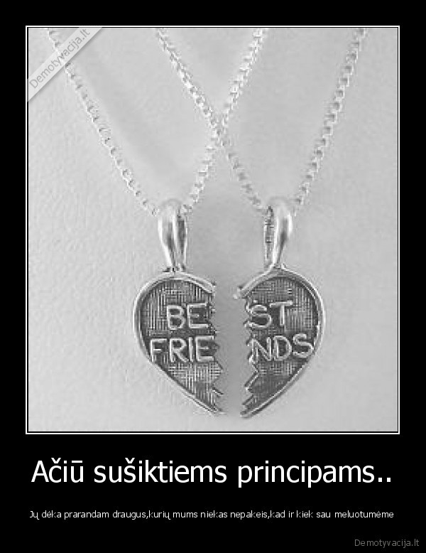 Ačiū sušiktiems principams..