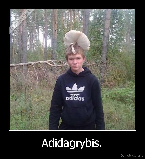 adidas,grybas,miskas