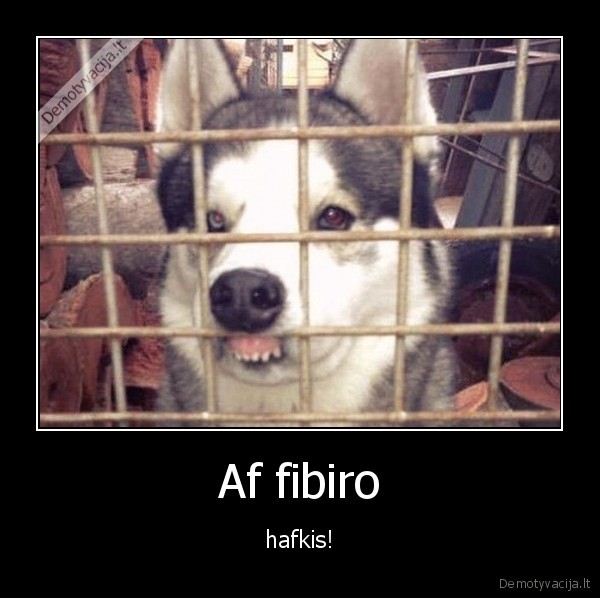 Af fibiro