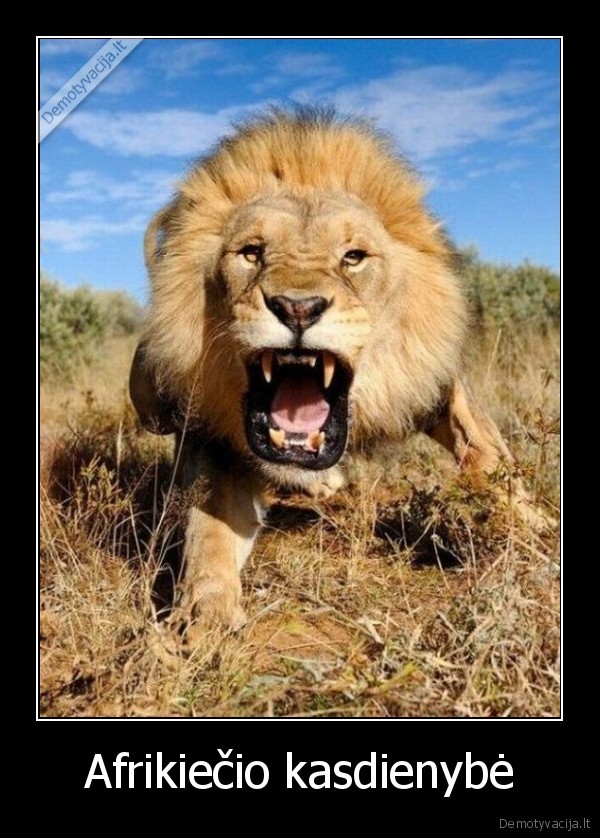 Afrikiečio kasdienybė