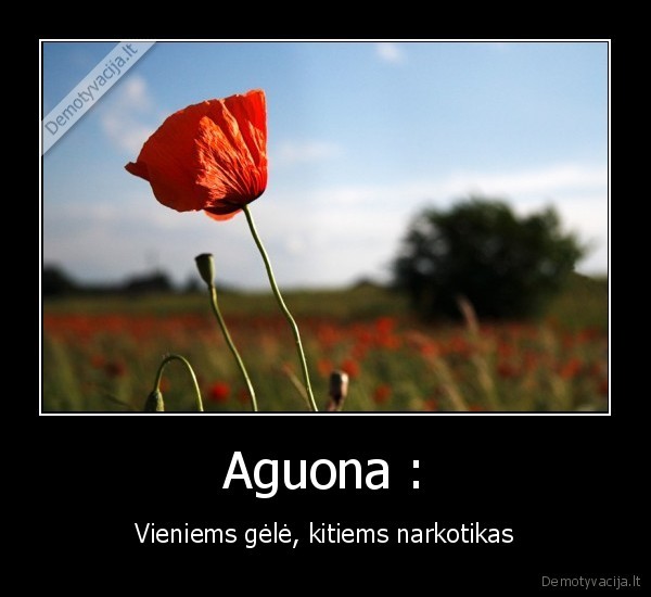 aguona