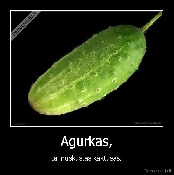 Agurkas,