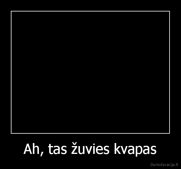 kvepinkit, ta, vieta