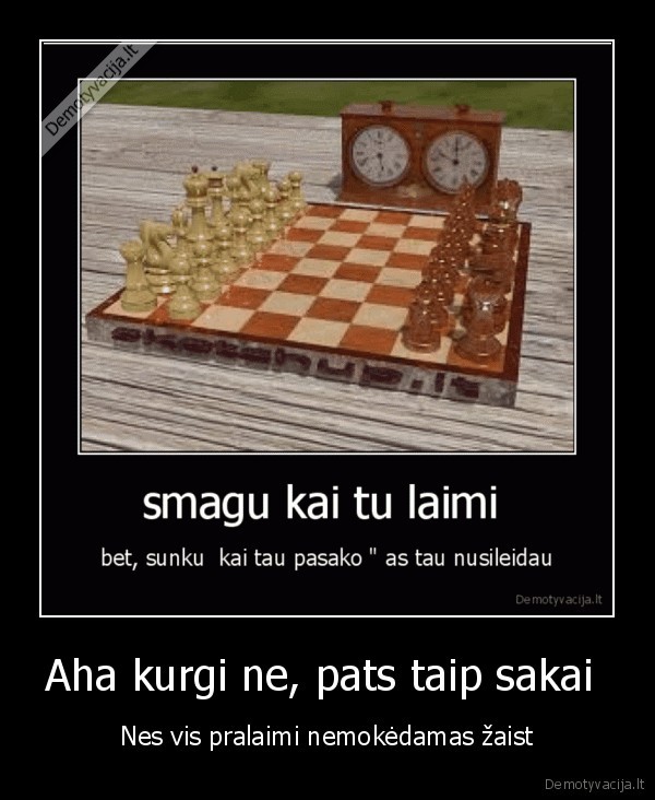 durniai,nemokantis,zaisti