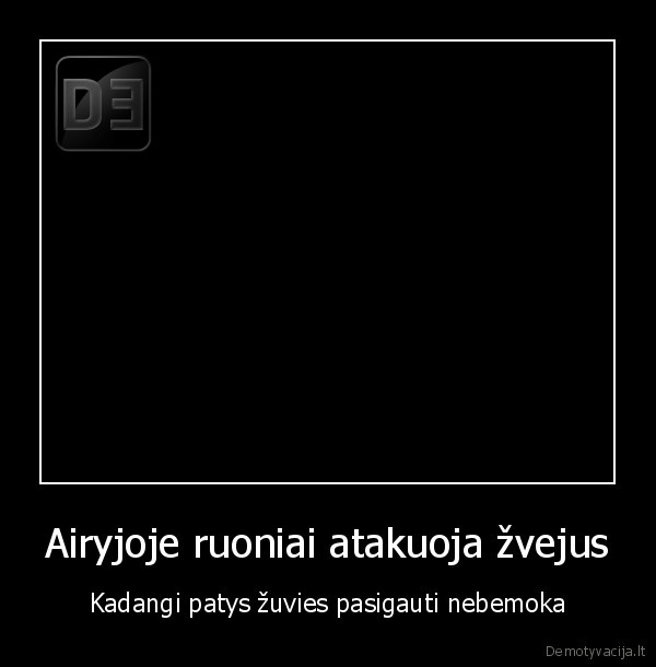 Airyjoje ruoniai atakuoja žvejus