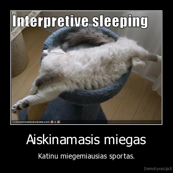 Aiskinamasis miegas