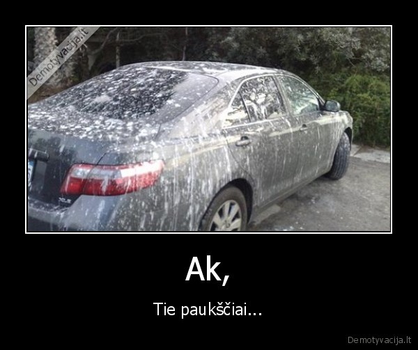 pauksciai