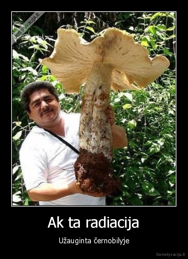 Ak ta radiacija