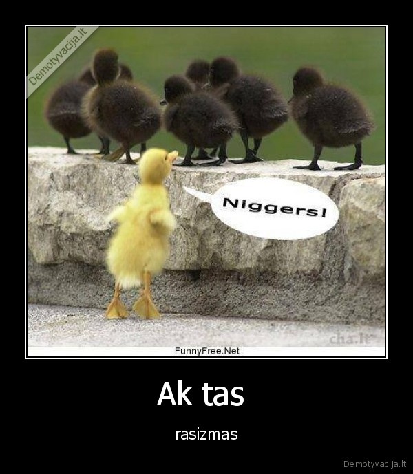 Ak tas 