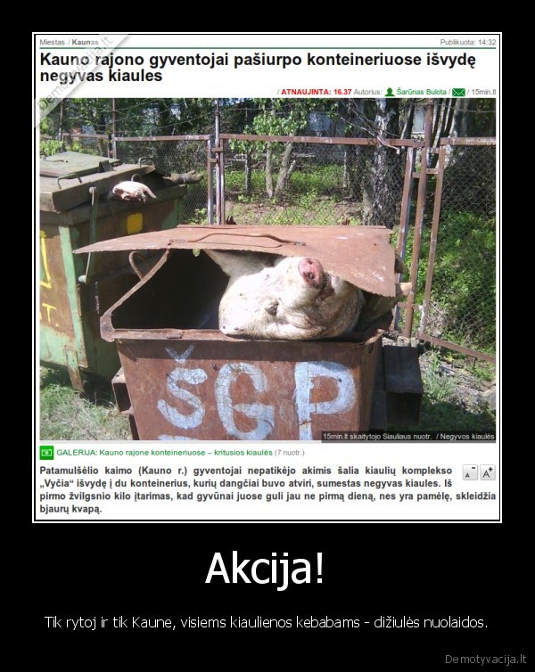 Akcija!