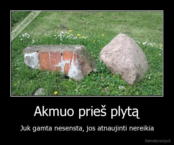 gamta,akmuo,plyta