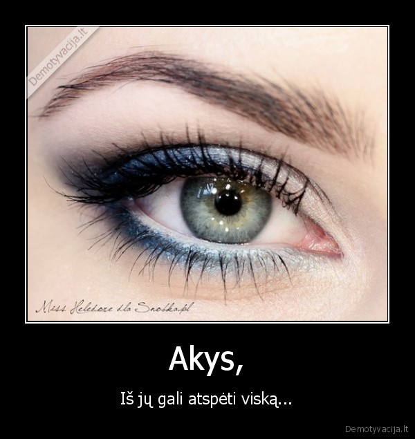 Akys,
