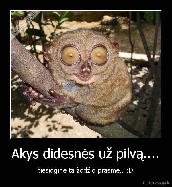 akys,zodis,prasme