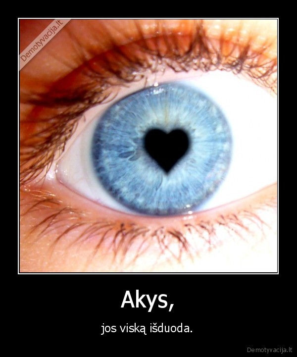 Akys,