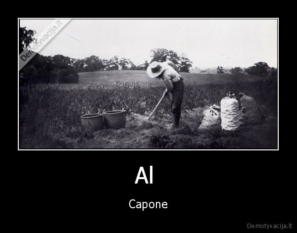 Al 