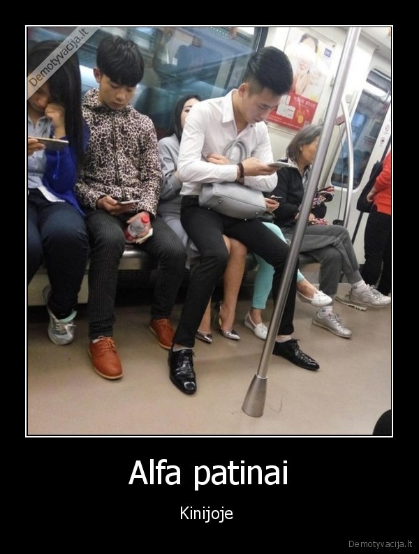 kinija,alfa,patians