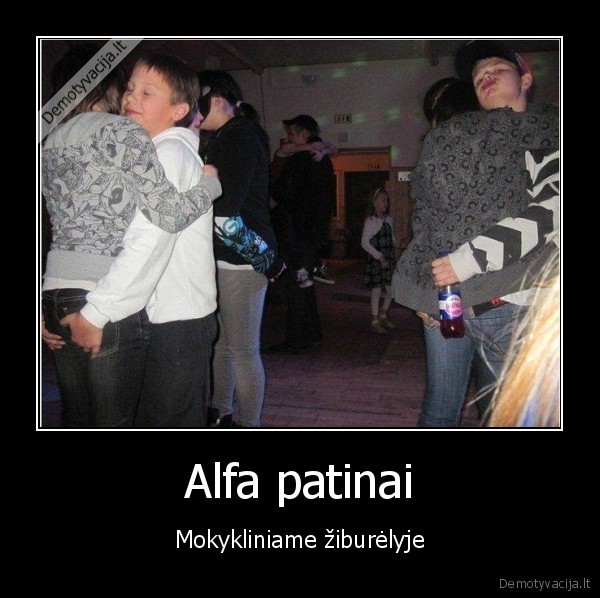 mokyklos, ziburelis,paime, uz, siknu