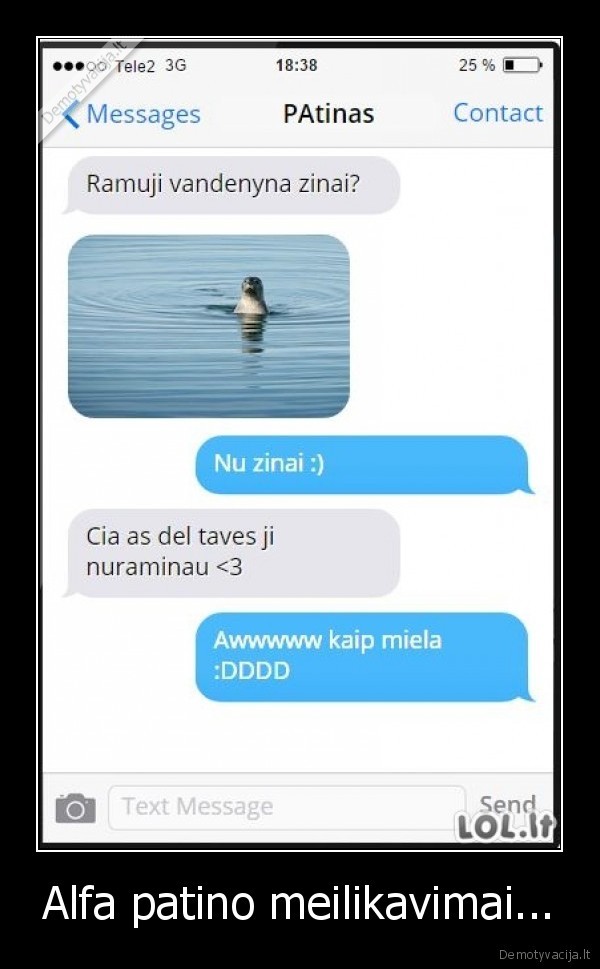 Alfa patino meilikavimai...