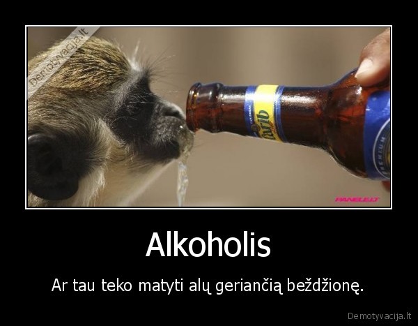 bezdzione,alus,alkoholis