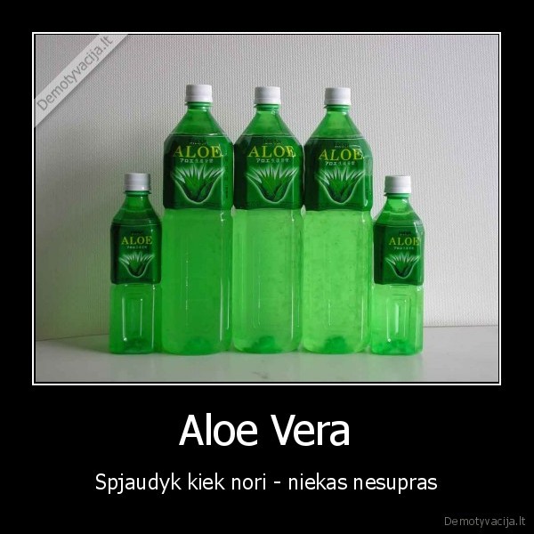 Aloe Vera