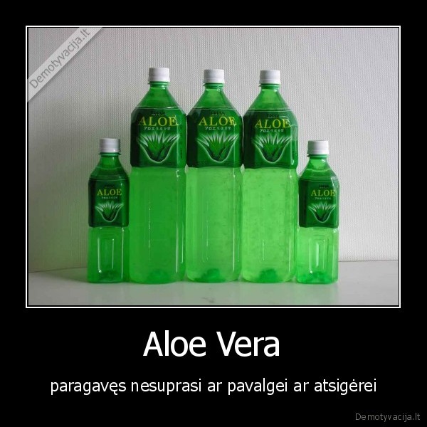aloe, vera
