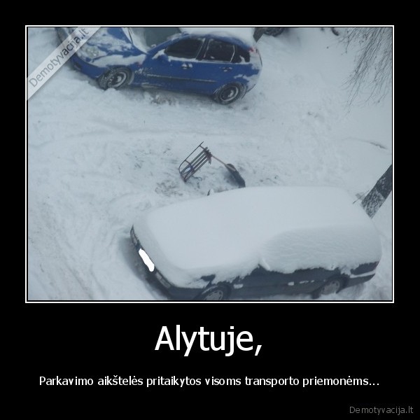 vairuotojai