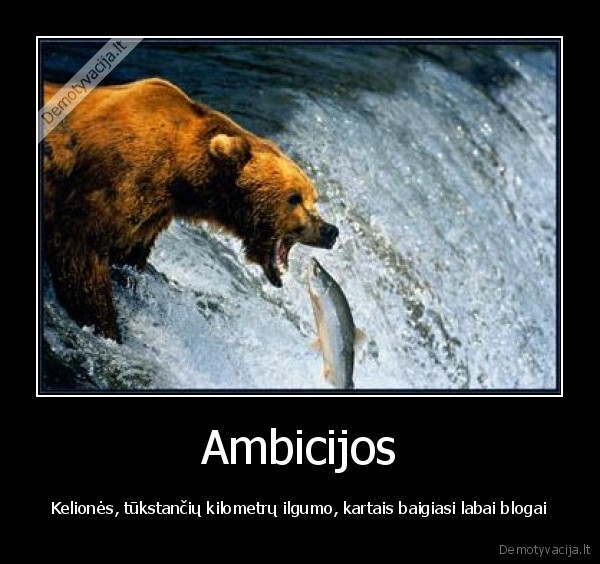 ambicija
