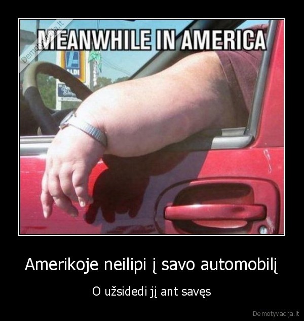 Amerikoje neilipi į savo automobilį